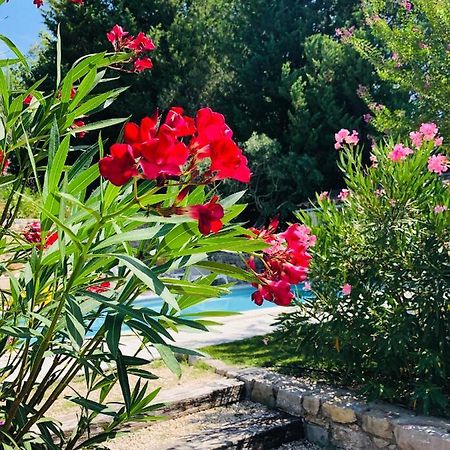 Mas Lou Piastoun Bed & Breakfast Fayence Dış mekan fotoğraf
