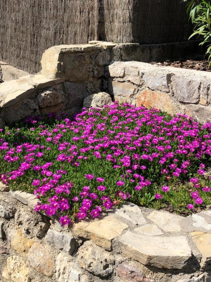Mas Lou Piastoun Bed & Breakfast Fayence Dış mekan fotoğraf