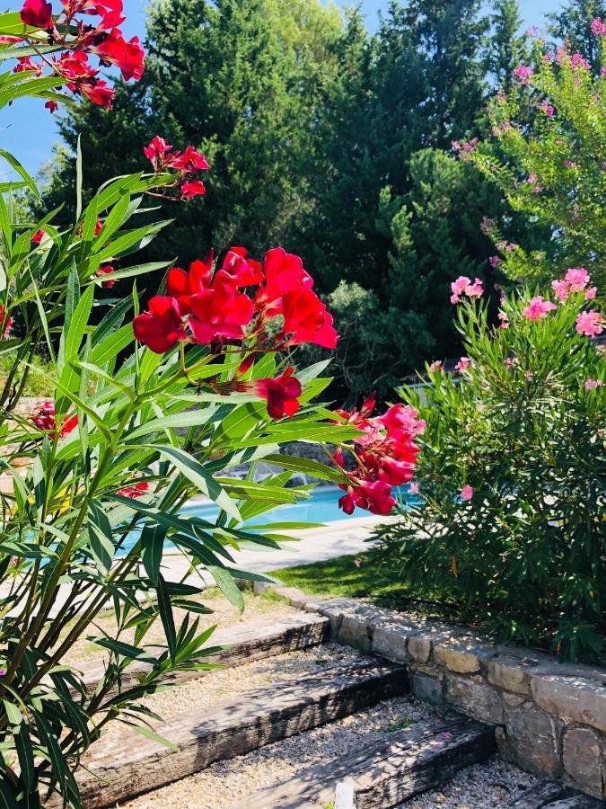 Mas Lou Piastoun Bed & Breakfast Fayence Dış mekan fotoğraf