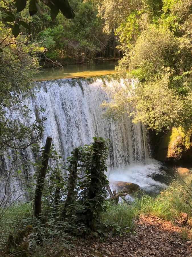 Mas Lou Piastoun Bed & Breakfast Fayence Dış mekan fotoğraf