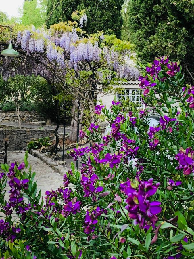 Mas Lou Piastoun Bed & Breakfast Fayence Dış mekan fotoğraf