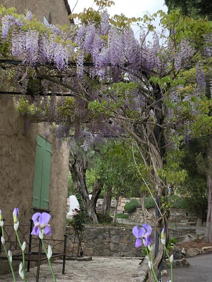 Mas Lou Piastoun Bed & Breakfast Fayence Dış mekan fotoğraf