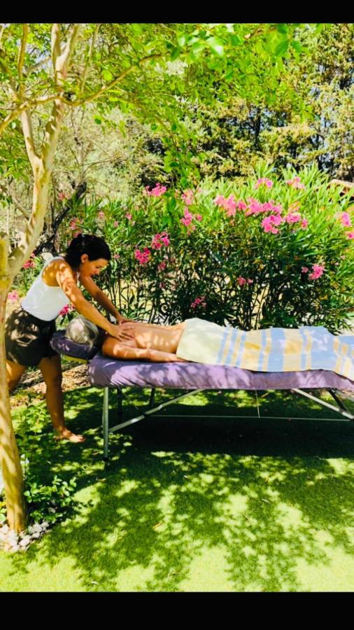 Mas Lou Piastoun Bed & Breakfast Fayence Dış mekan fotoğraf