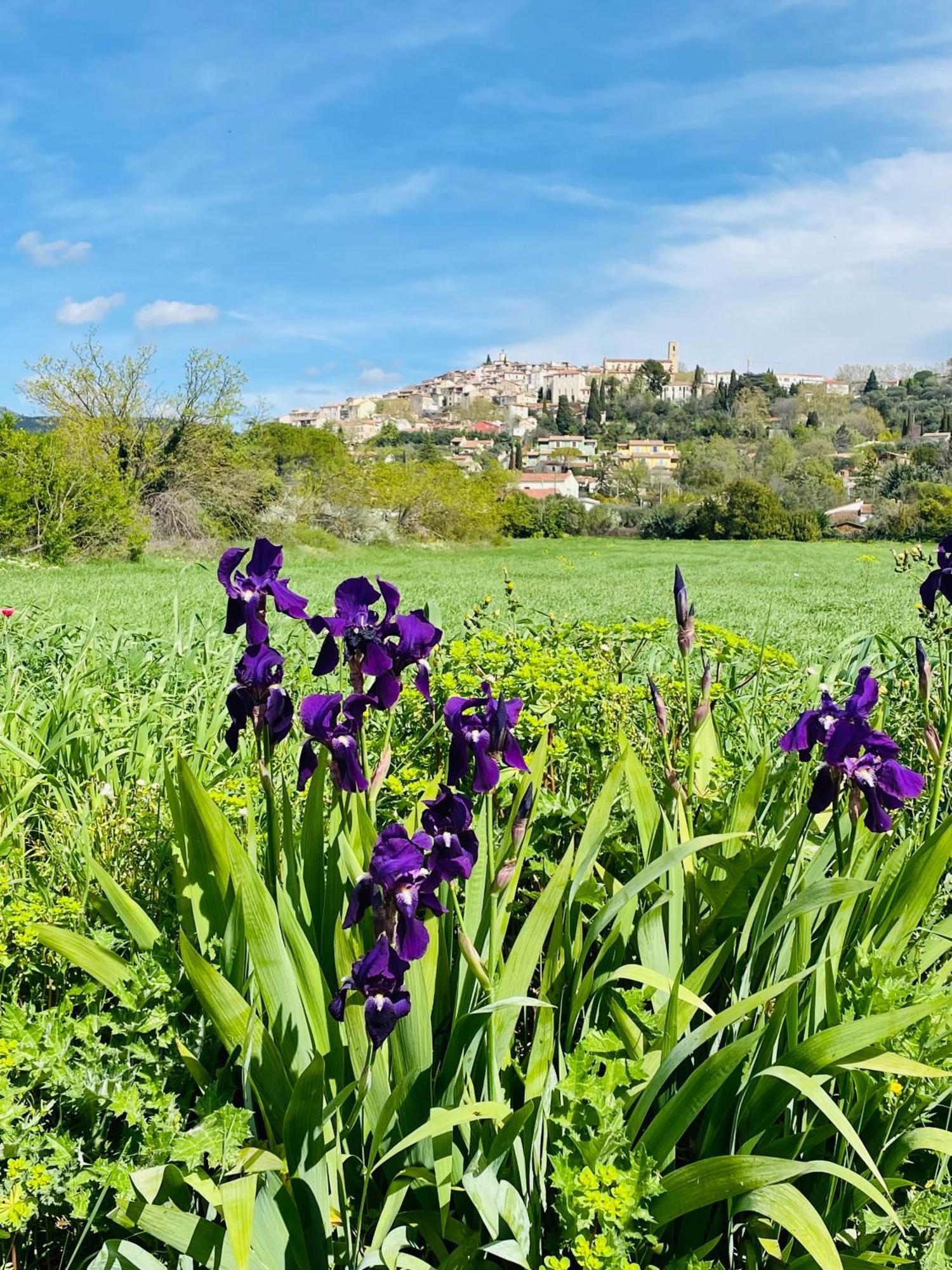 Mas Lou Piastoun Bed & Breakfast Fayence Dış mekan fotoğraf