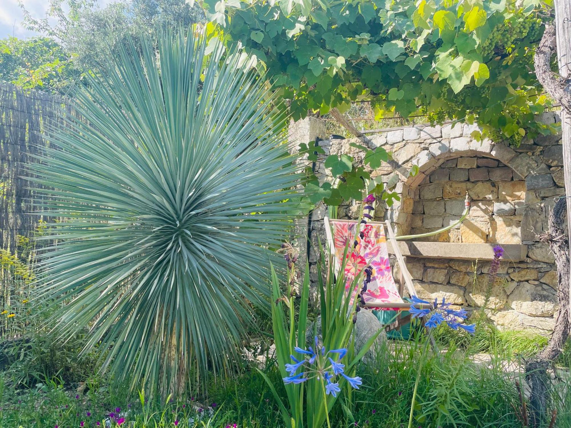 Mas Lou Piastoun Bed & Breakfast Fayence Dış mekan fotoğraf