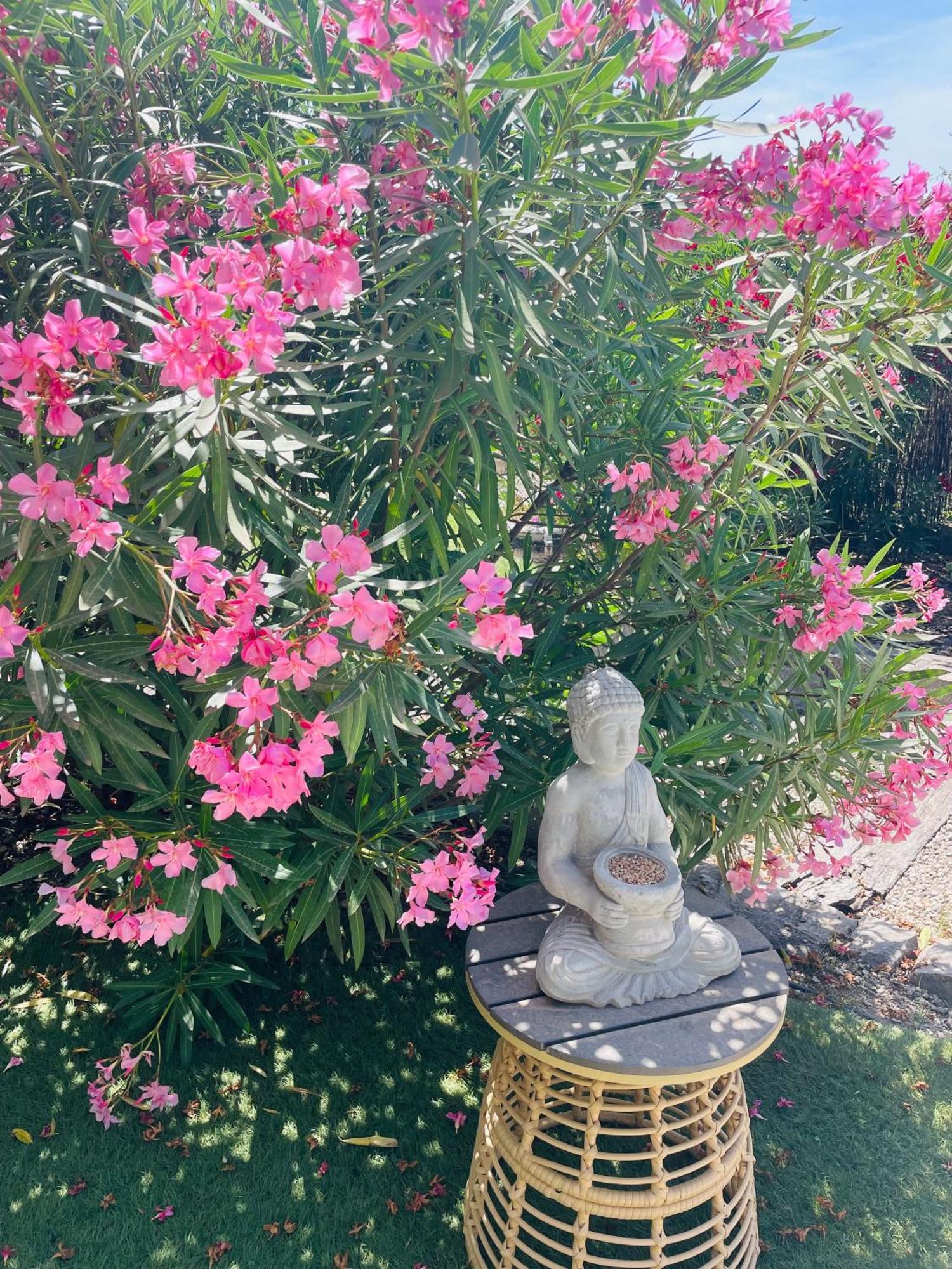 Mas Lou Piastoun Bed & Breakfast Fayence Dış mekan fotoğraf